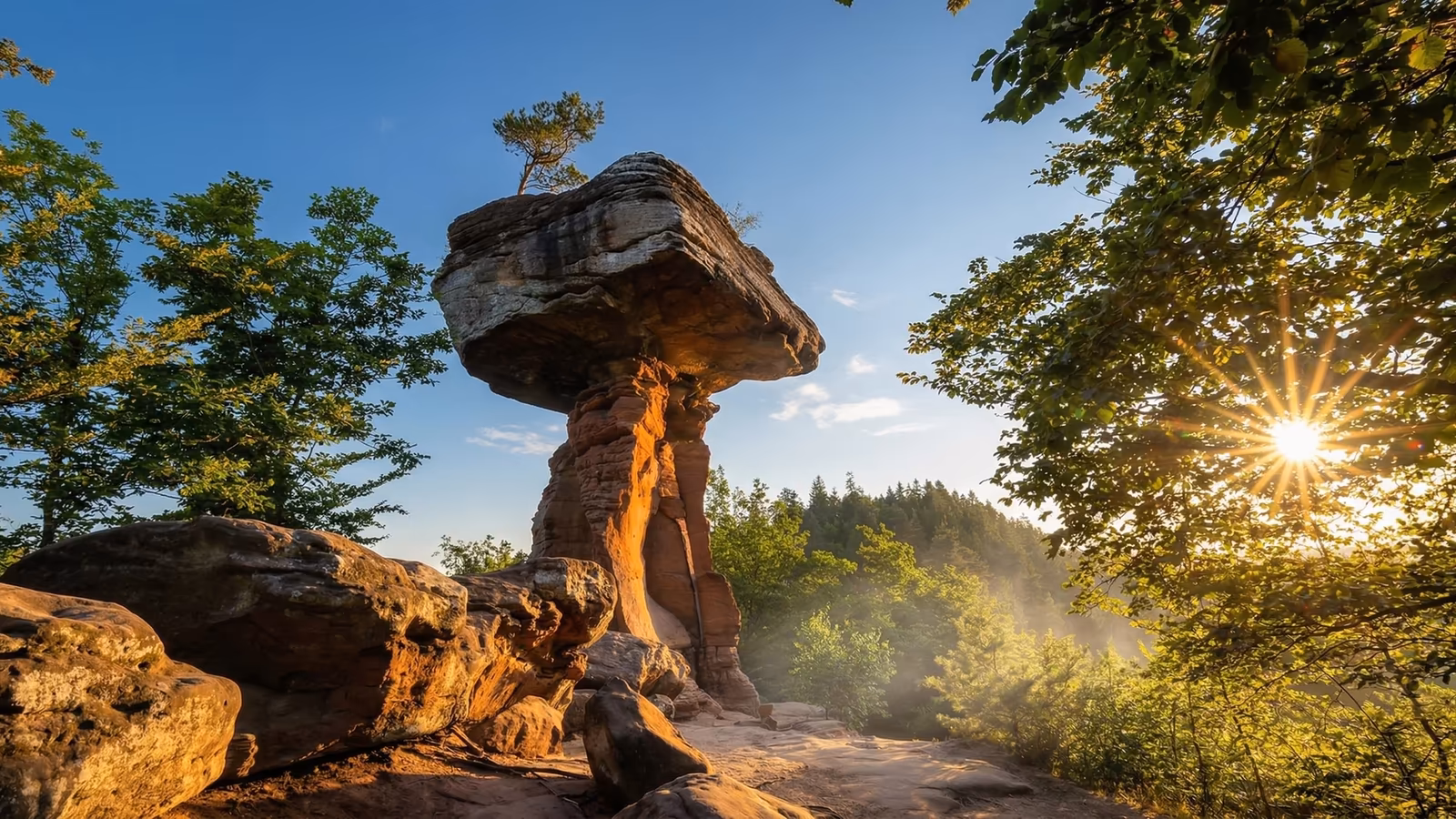 Der Teufelstisch bei Hinterweidenthal — 14 m hoher Sandsteinpilz im Morgenlicht
